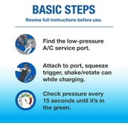 EZ Chill Auto A/C Recharge Kit, Includes Charging Hose with Gauge -16.8 OZ