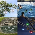 thumbnail image 2 of 4 Pack Solar Floating Ball Lights, RGB Color Changing, Wireless LED Show Decor Lighting, IP 67 Waterproof Plastic Balls for Swim Pools, Ponds and Beach House, 2 of 4