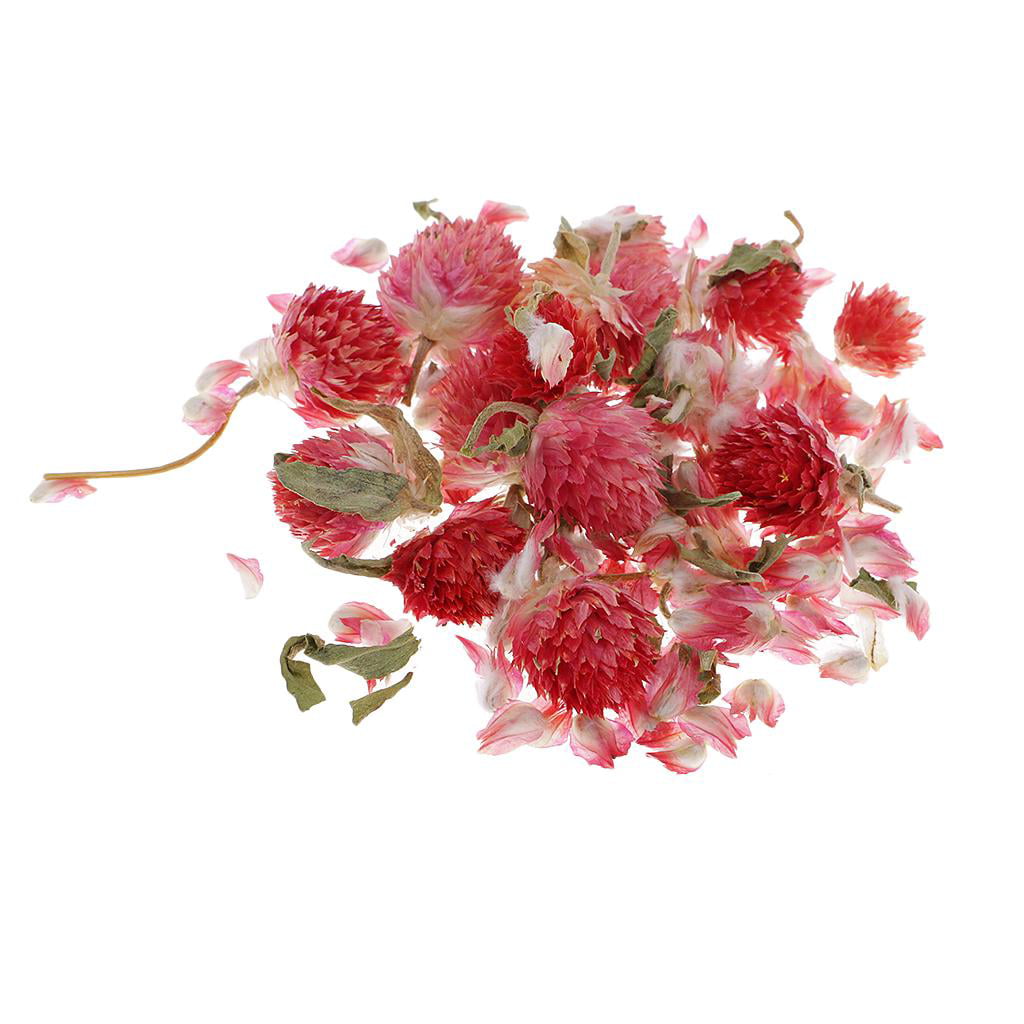 4g Natural Real Dried Flowers for Art DIY Craft Jewelry Making Resin Casting 