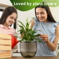 thumbnail image 6 of 3 Pack Self Watering Hanging Planters for Indoor and Outdoor Plants, Gray Small Hanging Planter,4.5 Inch Hanging Baskets with Chains Drainage Holes, Hanging Flower Pot for Garden Home, 6 of 8