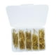 thumbnail image 3 of de cabeza redonda para muebles, surtido de clavos en miniatura, Mini Hardware pequeño, muebles para uñas, ferretería, accesorios para cajas 350 de oro, 3 of 8