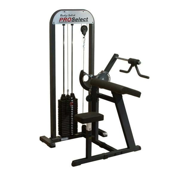 Body Solid - GCBT-STK Pro Select Biceps and Triceps Machine