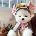thumbnail image 5 of Ropa cálida para mascotas, suave, elástica, con orejas de ratón, queso, con capucha, ropa para perros de dos patas para cachorros y gatos, Otoño e Invierno, 5 of 5