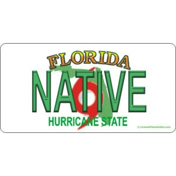 Design It Yourself Florida Bicycle Plate #4. Free Personalization on Plate