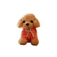 thumbnail image 1 of 1pc 25CM Simulated Poodle Doll Dog Plush Toy Stuffed Animal Puppy Doll for Kids Children (Light and Brown Clothing Color for Random), 1 of 4
