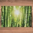 thumbnail image 6 of Ambesonne Jungle Jigsaw Puzzle, Sun Beams in Wild Jungle Art, Heirloom-Quality Fun Activity for Family Durable Cardboard, 1000 pcs, Lime Green Yellow, 6 of 6