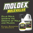 thumbnail image 4 of (2 pack) Moldex Mold & Mildew Killer Spray, 32 fl oz, 4 of 5