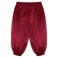 thumbnail image 5 of Aislor Kids Boys Medieval Capri Pants High Rise Waist with Elastic Band Victorian Steampunk Bloomer Burgundy 12, 5 of 7