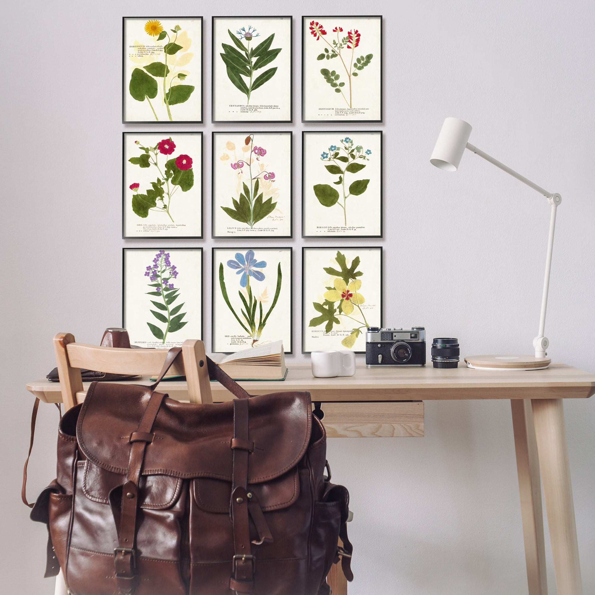 Stupell Industries Latin Botanical Flower Study Vintage Illustrations Antique Script Graphic Art Black Framed Art Print Wall Art Set of 9, 11x14, by Vision Studio