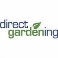 thumbnail image 5 of Direct Gardening - Samba Red and White Flowering Amaryllis Bulb Gift Kit - One Dormant Bulb Pre-planted in a Metallic Decorative Planter, 5 of 5