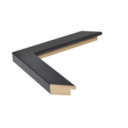 Frame My Mirror Framed Mirror, Black Finish, 28 x 48, 1-1/4 Wide Frame Ellis Design