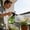 Green, variant on CaiYueKe Handheld Pressure Pump Sprayer for Garden Multi Purpose Water Sprayer Bottle for Plants Flowers Weeds Cleaning Indoor Outdoor Use Portable Watering Tool Spray Bottle