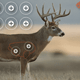 thumbnail image 4 of Ez Aim Paper Shooting Targets, 4-Color 35 In x 23 In Whitetail Targets, 2-Pack, 4 of 5