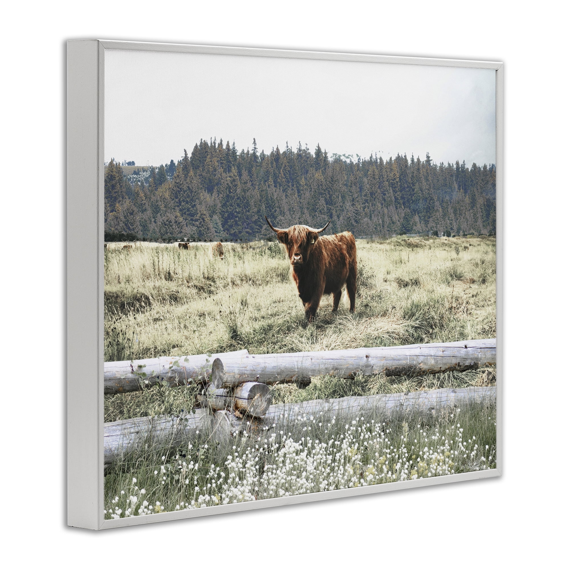 Stupell Industries Cattle Overlooking Fence Animals & Insects Photography White Framed Art Print Wall Art, 14 x 11