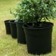 thumbnail image 5 of Macetas de galón negras de plástico Cateissary 5 piezas Jardín y Patio calibre 16, 5 of 6