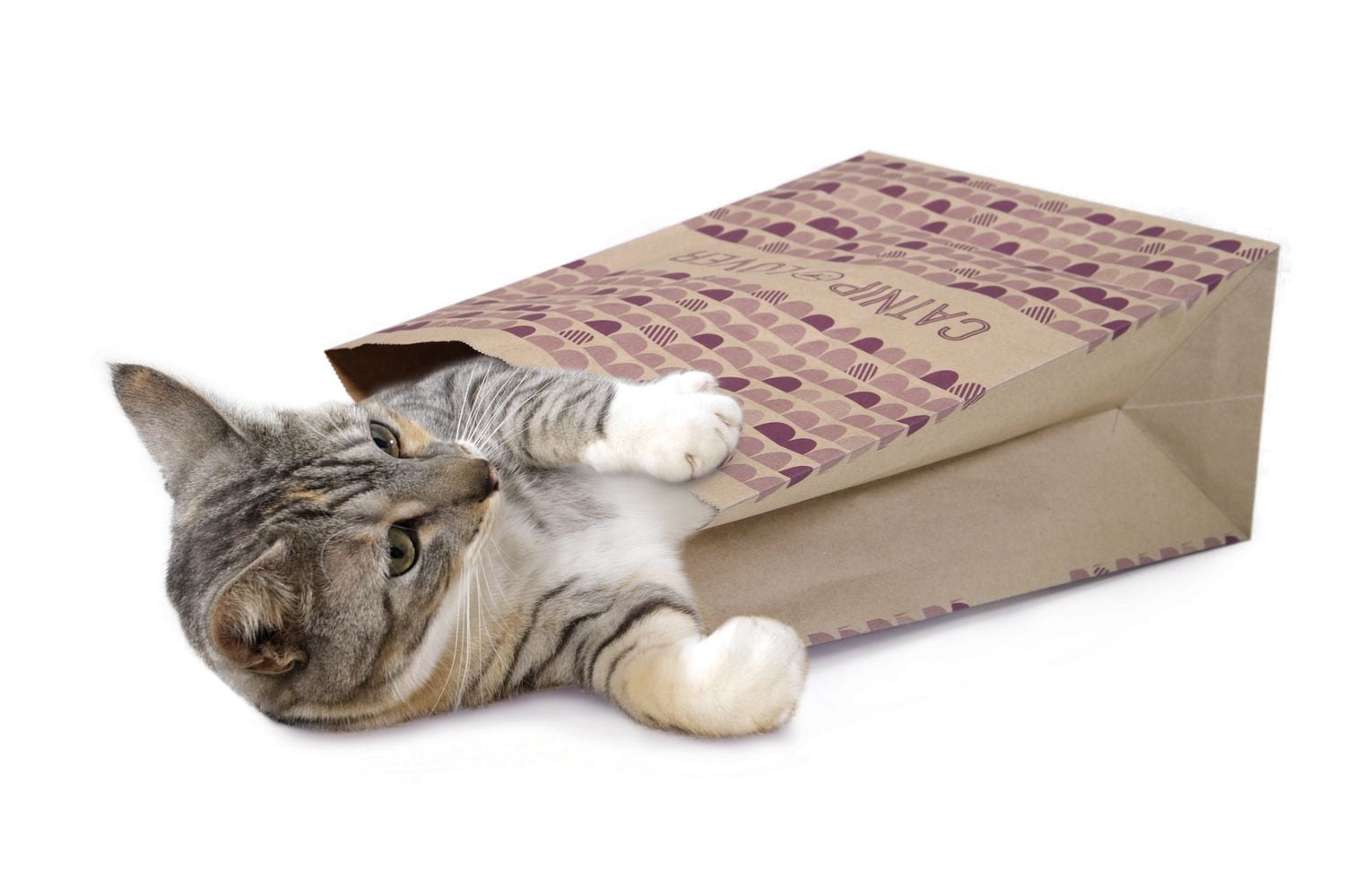 Grottes d'herbe à chat SmartyKat