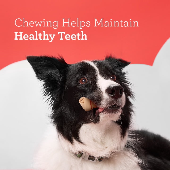 DreamBone Mini Chews with Real Chicken, Rawhide-Free Chews for Dogs, 50 Count