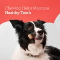 thumbnail image 6 of DreamBone Mini Chews with Real Chicken, Rawhide-Free Chews for Dogs, 50 Count, 6 of 9