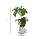 thumbnail image 2 of Simulación de plantas verdes, adornos decorativos for sala de estar, árboles artificiales de lujo, plantas biónicas grandes, plantas en maceta., 2 of 4