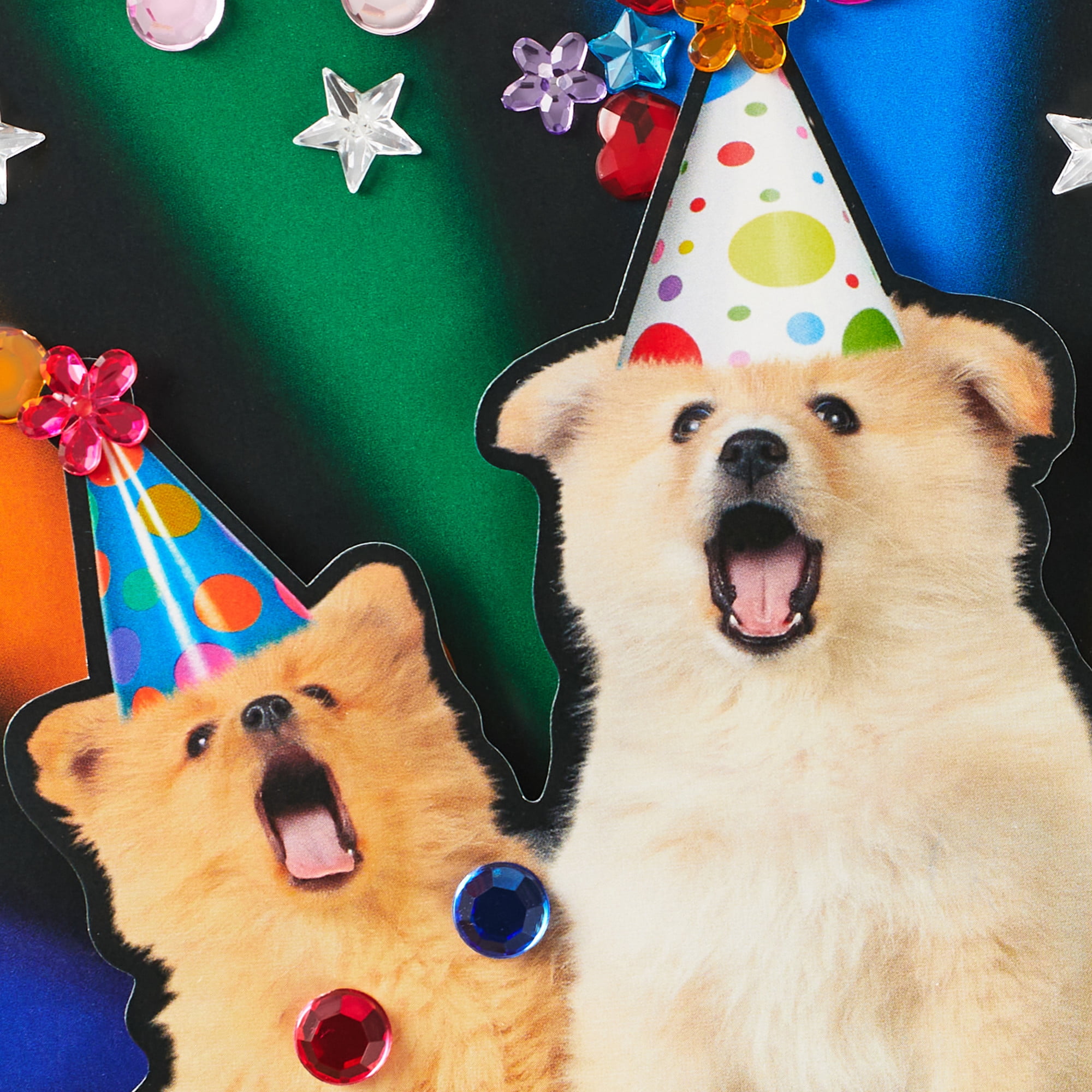 Hallmark Birthday Card