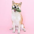 thumbnail image 2 of Ethical Products 103283 7 in. Love the Earth Shark Dog Toy, 2 of 2