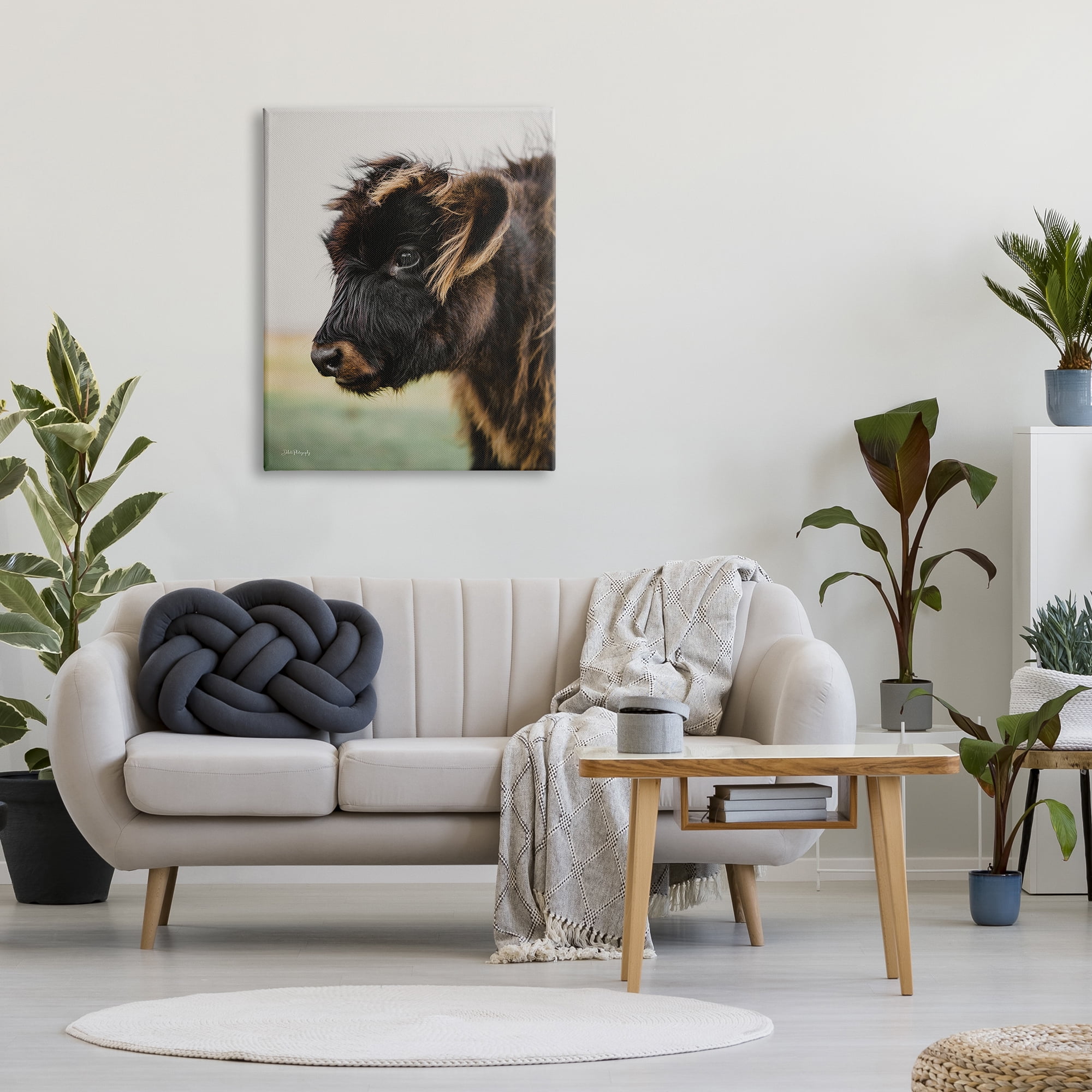 Stupell Industries Baby Cow Photography Animals & Insects Photography Gallery Wrapped Canvas Print Wall Art, 30 x 40