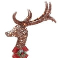 Holiday Time Lightup Outdoor 2Piece Reindeer Family Decoration Set