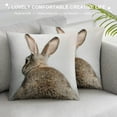 thumbnail image 3 of Nawypu Grey Rabbit Bunny Tail Easter Bunny Feed Pattern Throw Pillow Cover Decorative Pillowcase Cushion Cover for Sofa Couch Bed,Farmhouse Kids Room Decor,Gift for Rabbit Lovers Kids, 3 of 5