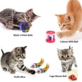 thumbnail image 3 of 35 Pcs Cat Toys Kitten Toys Assortments, Variety Catnip Toy Set Including 2 Way Tunnel, Cat Feather Teaser, Catnip Fish, Mice, Colorful Balls and Bells for Cat, Puppy, Kitty, 3 of 6