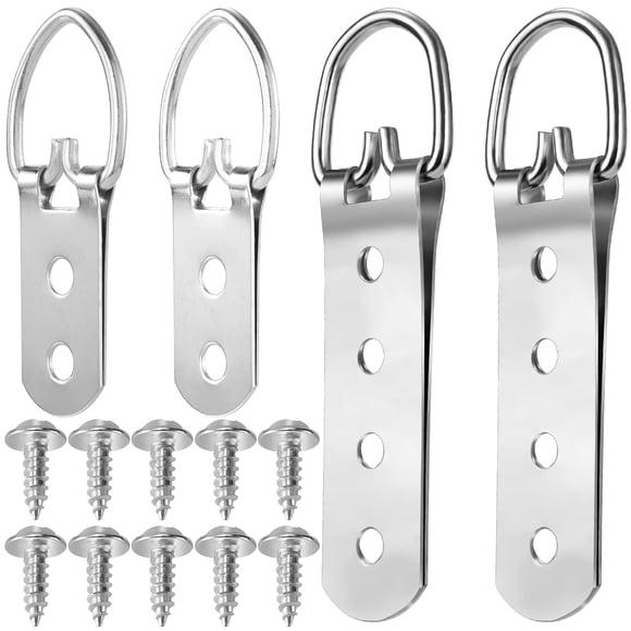 Mxxipp Juego de 8 perchas para cuadros con anilla en D de alta resistencia, colgador de correa extra grande con tornillos, 2 orificios y 4 orificios, accesorios para colgar marcos de fotos, color plat