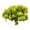 D, variant on Kiplyki Artificial Green Plant Immortal Fake Flower Moss Grass For Home Living Room Decorative Wall DIY Flower Mini Colorful Accessories