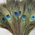 thumbnail image 2 of Pack Of 25pc Natural Peacock Feathers 10-12'', 2 of 3