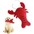 thumbnail image 5 of Squeaky Dog Plush Toy Fruit Chew Toy For Puppies And Small Dogs Washable Cotton Fabric TeethCleaning And Gum Massage, 5 of 5