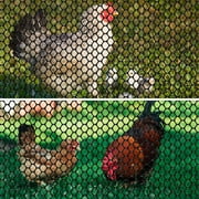 Bocaoying Plastic Chicken Wire Fencing, with 25 Twist Ties, 197 In Black Chicken Wire mesh, Poultry Netting, Poultry Fence, Chicken Wire for Crafts, Plastic Garden Fencing, Floral Chicken Wire