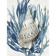 thumbnail image 3 of Kelly, Caroline 12x14 Black Modern Framed Museum Art Print Titled - Shell Coral Aqua Blue I, 3 of 5