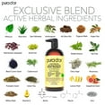 thumbnail image 5 of PURA D'OR Anti-Thinning Biotin Shampoo & Deep Moisturizing Conditioner Original Gold Label Set (24oz x2) Natural Earthy Scent, CLINICALLY TESTED Effective Results, Hair, 5 of 5