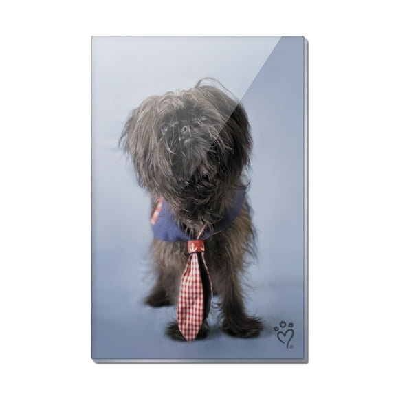 Affenpinscher Puppy Dog with Tie Rectangle Acrylic Fridge Refrigerator Magnet