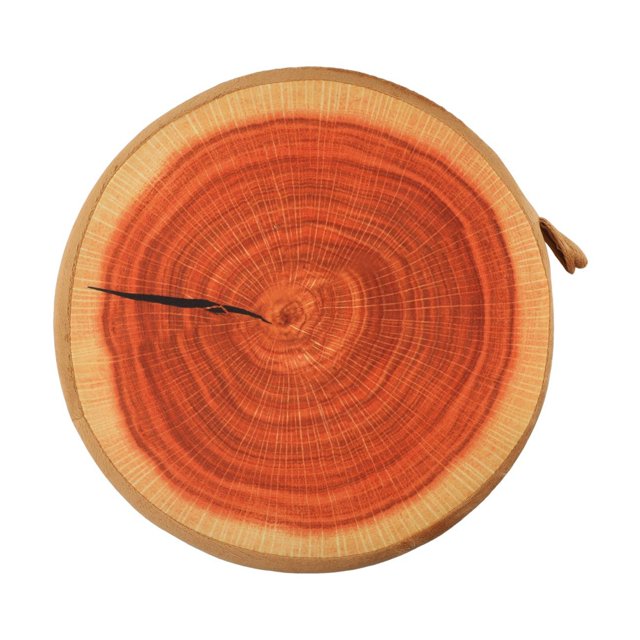 Housse de Chaise de Jardin Forme de Fruit Décoration Ronde Motif Unique Bois