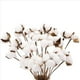 thumbnail image 2 of 40 Piezas de Tallos de AlgodóN, Flores de AlgodóN Falsas, Tallos Florales de AlgodóN Artificial, Decoraciones de Granja de ImitacióN para Florero, DecoracióN del Hogar, 2 of 5