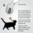 thumbnail image 4 of Zodiac SPOT ON II Contrôle des Puces pour Chats et Chatons, Format 4 Mois, 4 of 7