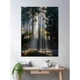 thumbnail image 2 of Misty Time In The New Forest Poster Wall Art, Modern Wall Decor, 24x36 UNFRAMED, 2 of 3