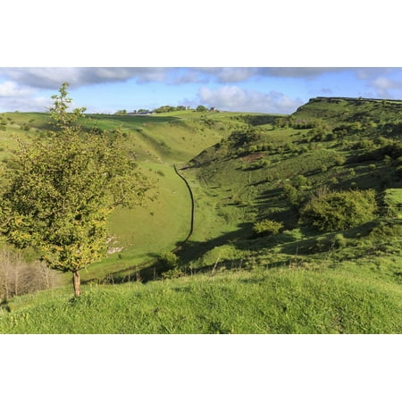 Cressbrook Dale National Nature Reserve in Spring, Elevated View, Peak District National Park Print Wall Art By Eleanor