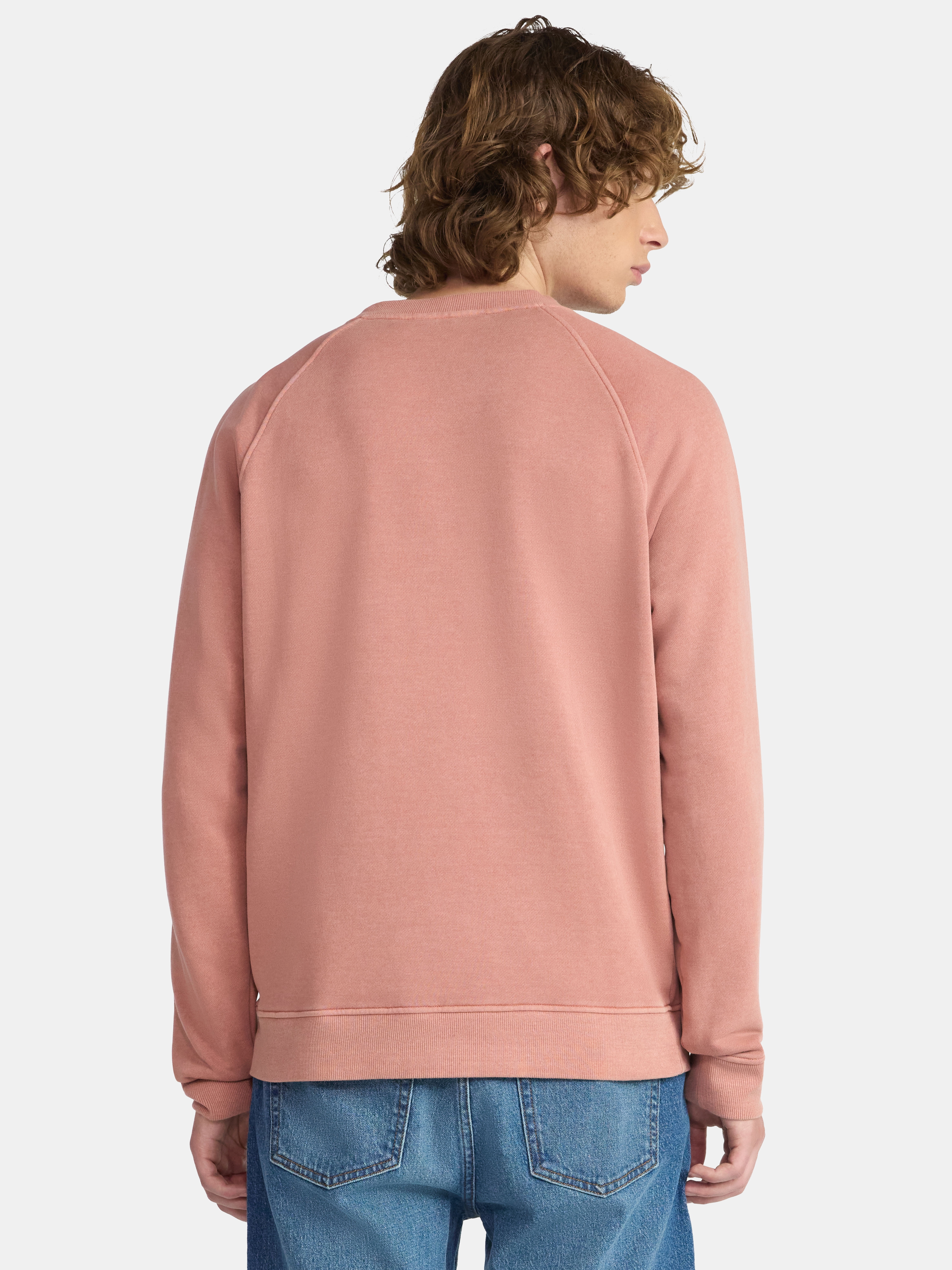 No Boundaries Crewneck Sweatshirt with Long Sleeves, Men's & Big Men's