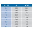 thumbnail image 4 of Mizuno Ceinture Noire Étiquette Argent - Approuvée IJF, 4 of 4