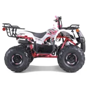 TaoTao T-Force 110cc Fully Automatic Mini Utility ATV