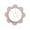 PK, variant on EGNMCR Kitchen Gadgets, Kitchen Accessories, Kitchen Utensils, Kitchen Tool Cutter 8 Fruit Cutter Kitchen Gadget Fruit Cutter Fruit Cutter Fruit Cutter Fruit slicer