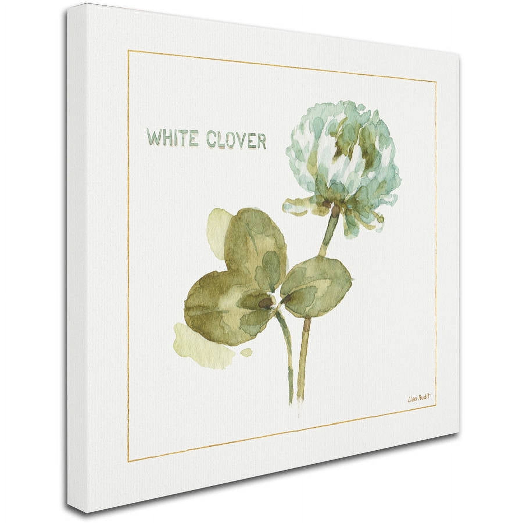 Trademark Fine Art "My Greenhouse Clover" Canvas Art by Lisa Audit