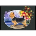 thumbnail image 1 of Carolines Treasures SS8046MAT Tapis Extérieur Intérieur Terrier Australien 18 x 27 Po, 1 of 4