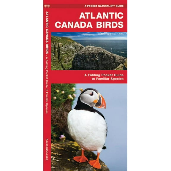 Atlantic Canada Birds : A Folding Pocket Guide to Familiar Species