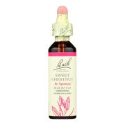Bach Flower Remedies Essence Sweet Chestnut - 0.7 fl oz